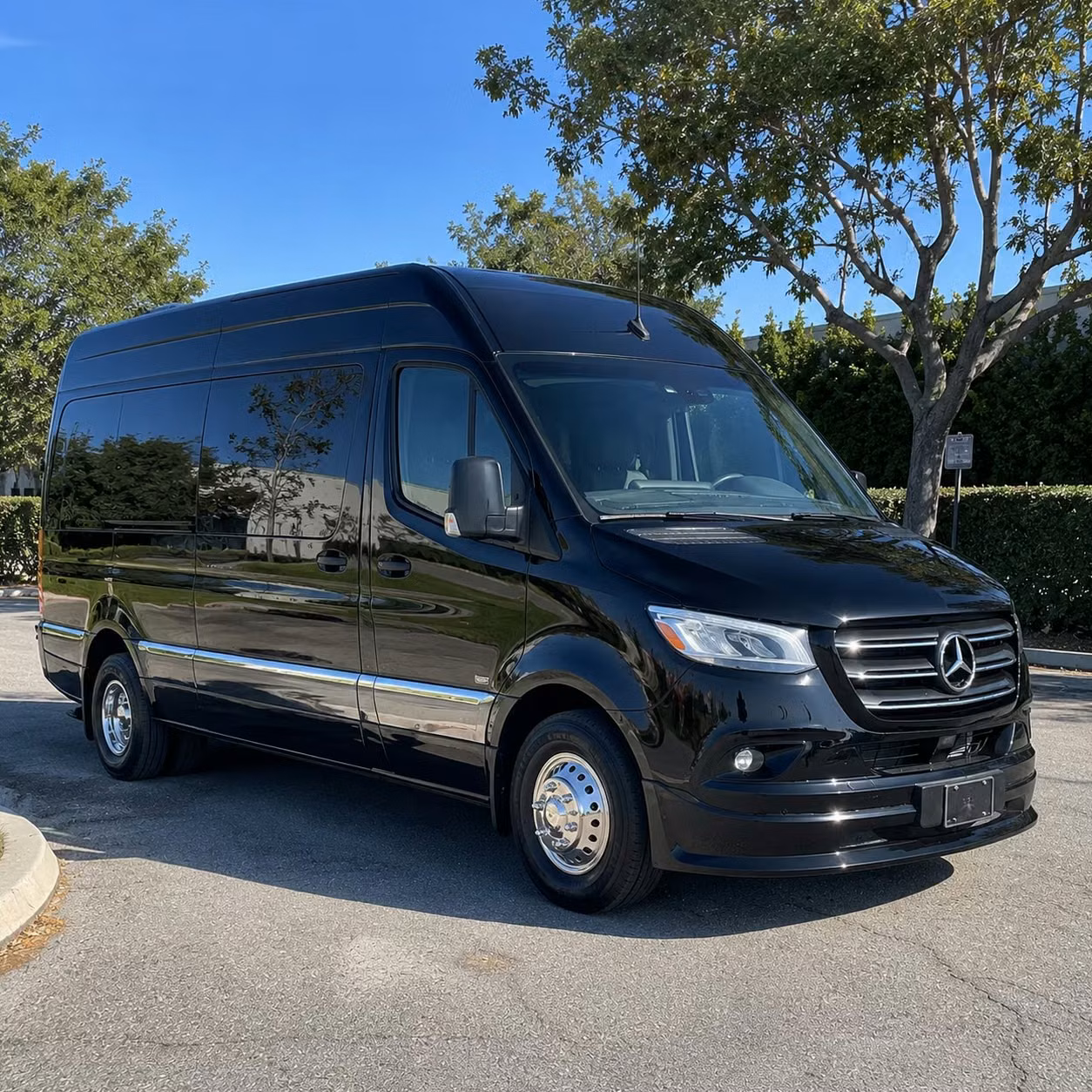 niagara falls sprinter van rental with driver